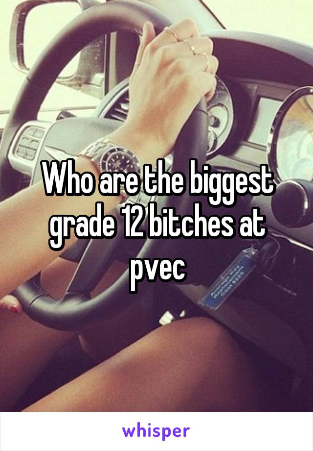 Who are the biggest grade 12 bitches at pvec