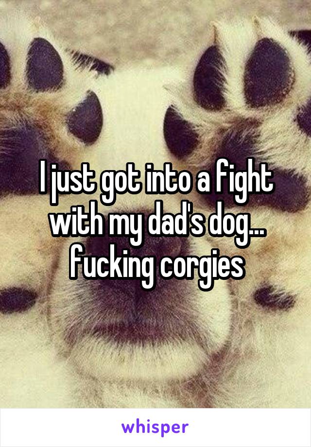 I just got into a fight with my dad's dog... fucking corgies