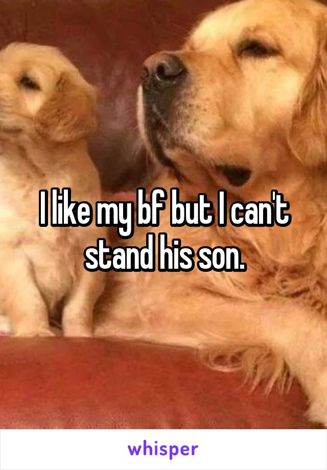 I like my bf but I can't stand his son.