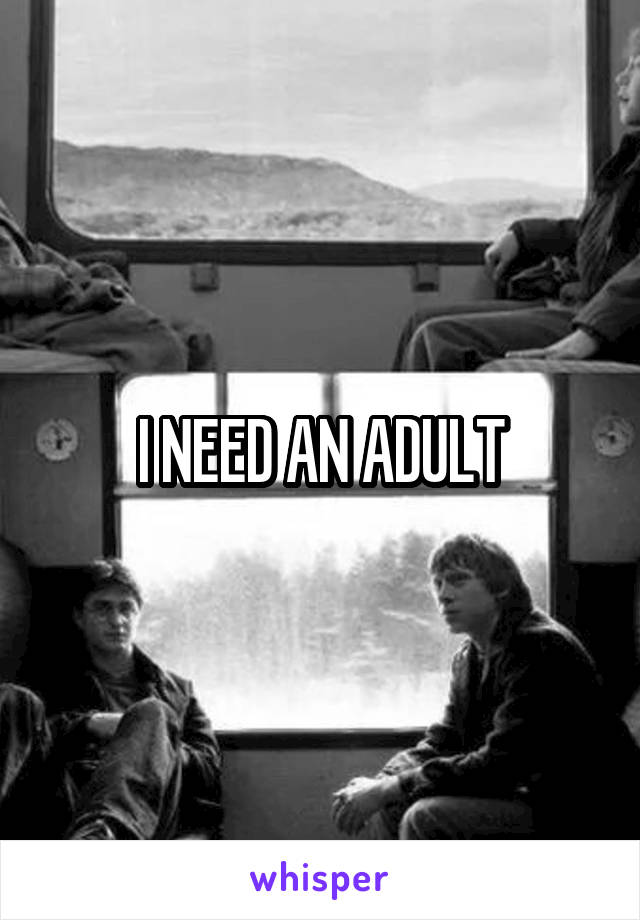 I NEED AN ADULT