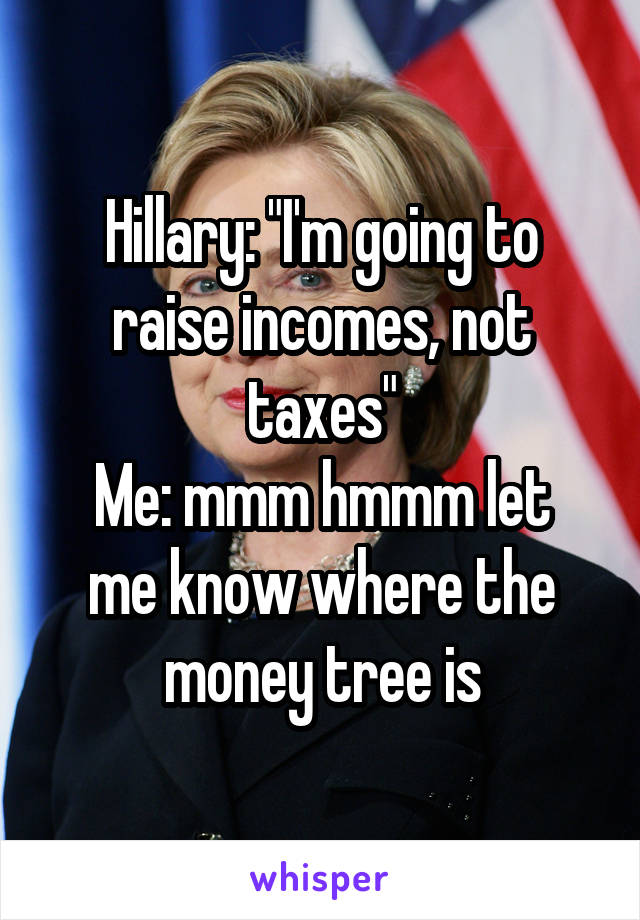 Hillary: "I'm going to raise incomes, not taxes"
Me: mmm hmmm let me know where the money tree is