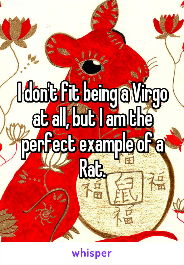 I don't fit being a Virgo at all, but I am the perfect example of a Rat.