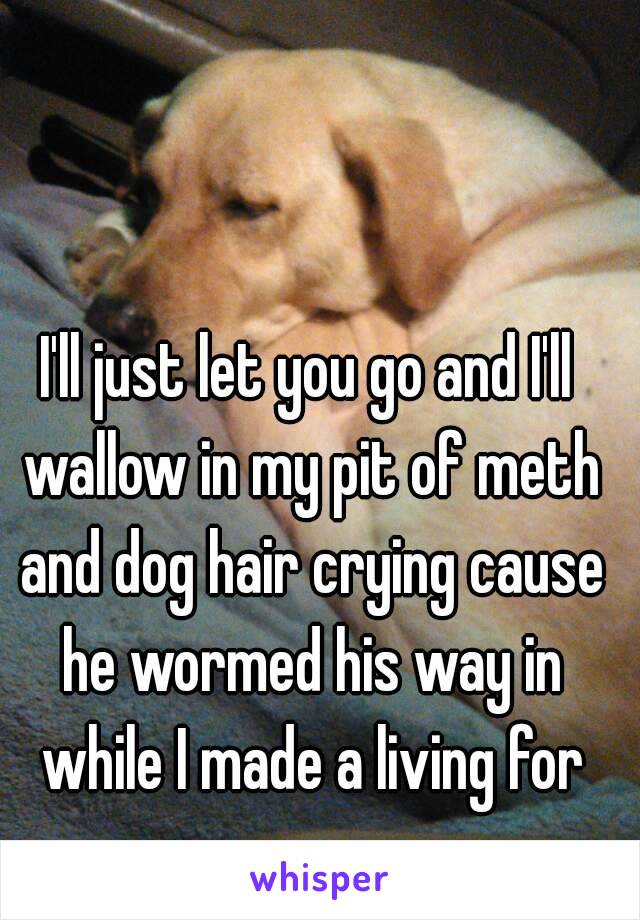 I'll just let you go and I'll wallow in my pit of meth and dog hair crying cause he wormed his way in while I made a living for us