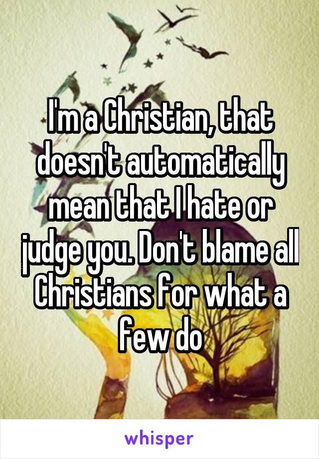 I'm a Christian, that doesn't automatically mean that I hate or judge you. Don't blame all Christians for what a few do