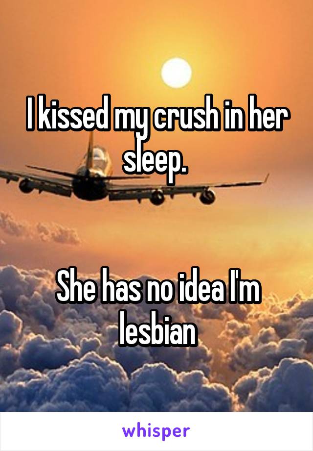 I kissed my crush in her sleep. 


She has no idea I'm lesbian