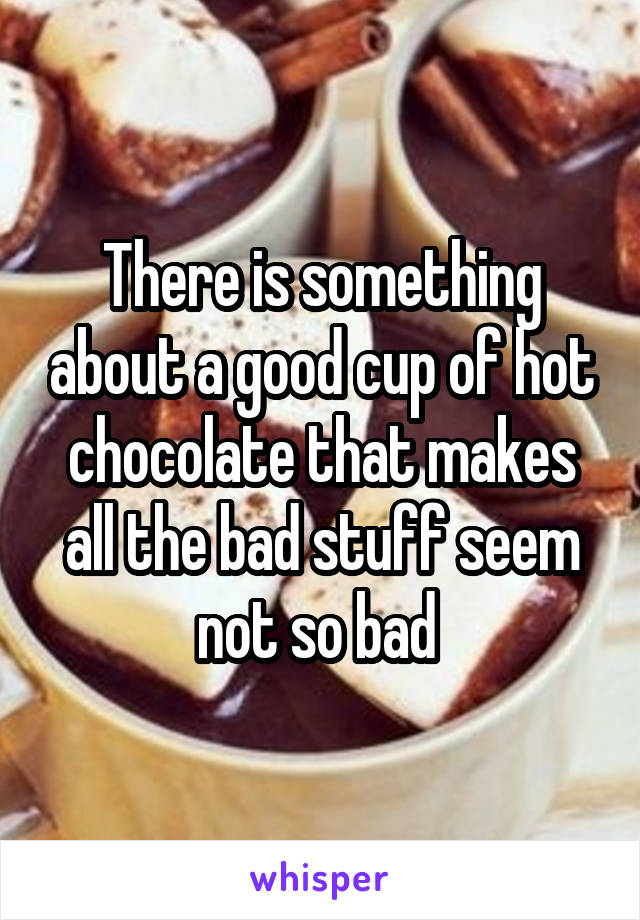 There is something about a good cup of hot chocolate that makes all the bad stuff seem not so bad 