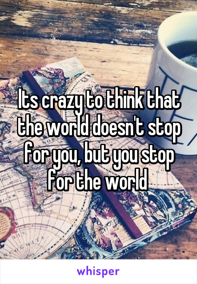 Its crazy to think that the world doesn't stop for you, but you stop for the world 