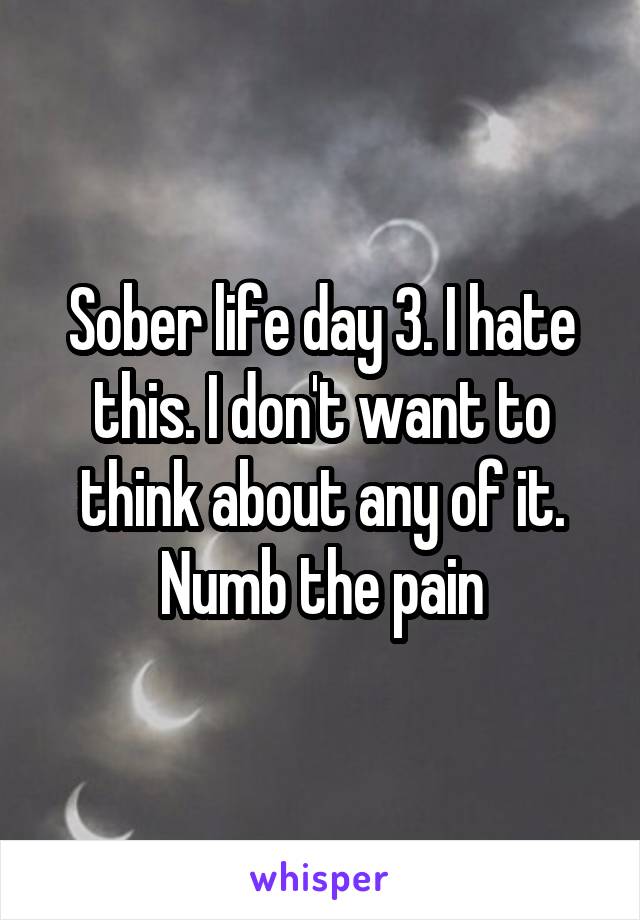 Sober life day 3. I hate this. I don't want to think about any of it. Numb the pain