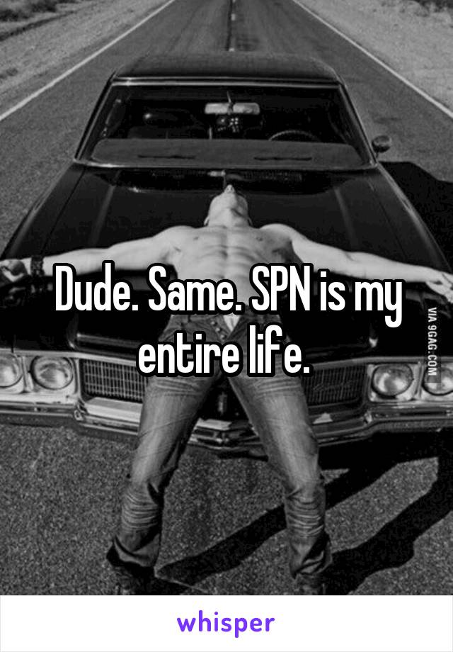 Dude. Same. SPN is my entire life. 