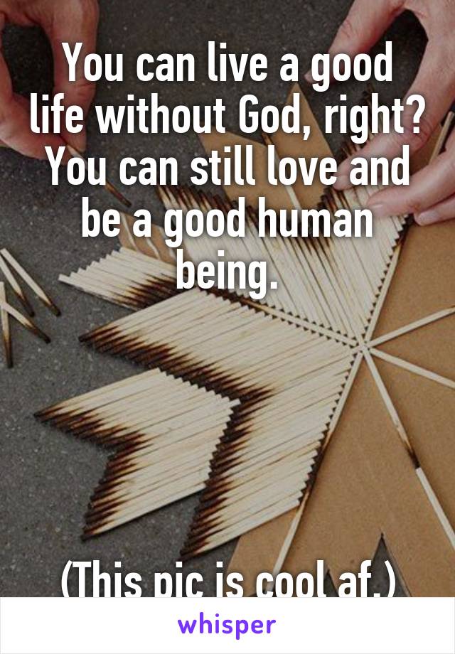 You can live a good life without God, right? You can still love and be a good human being.





(This pic is cool af.)