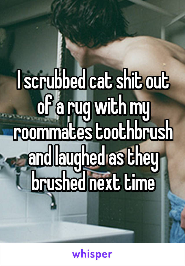 I scrubbed cat shit out of a rug with my roommates toothbrush and laughed as they brushed next time