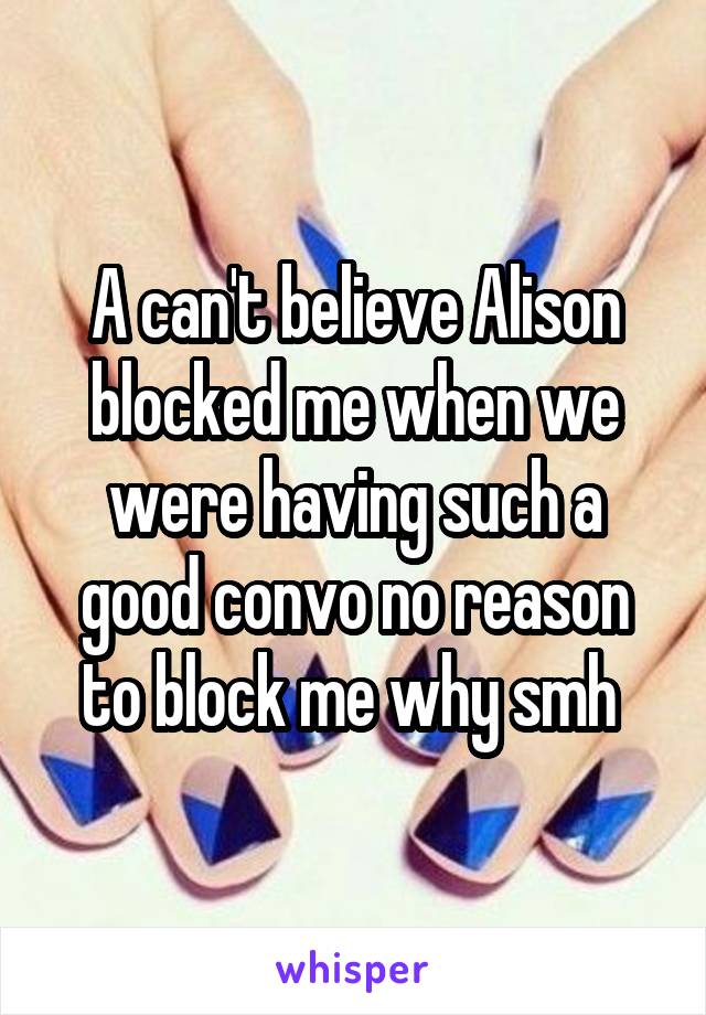 A can't believe Alison blocked me when we were having such a good convo no reason to block me why smh 