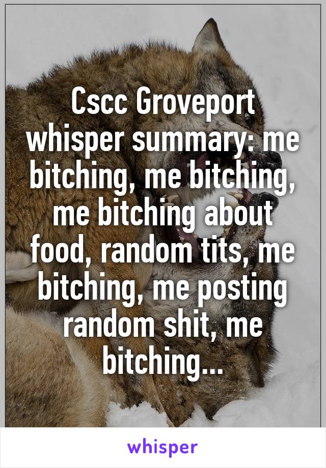 Cscc Groveport whisper summary: me bitching, me bitching, me bitching about food, random tits, me bitching, me posting random shit, me bitching...