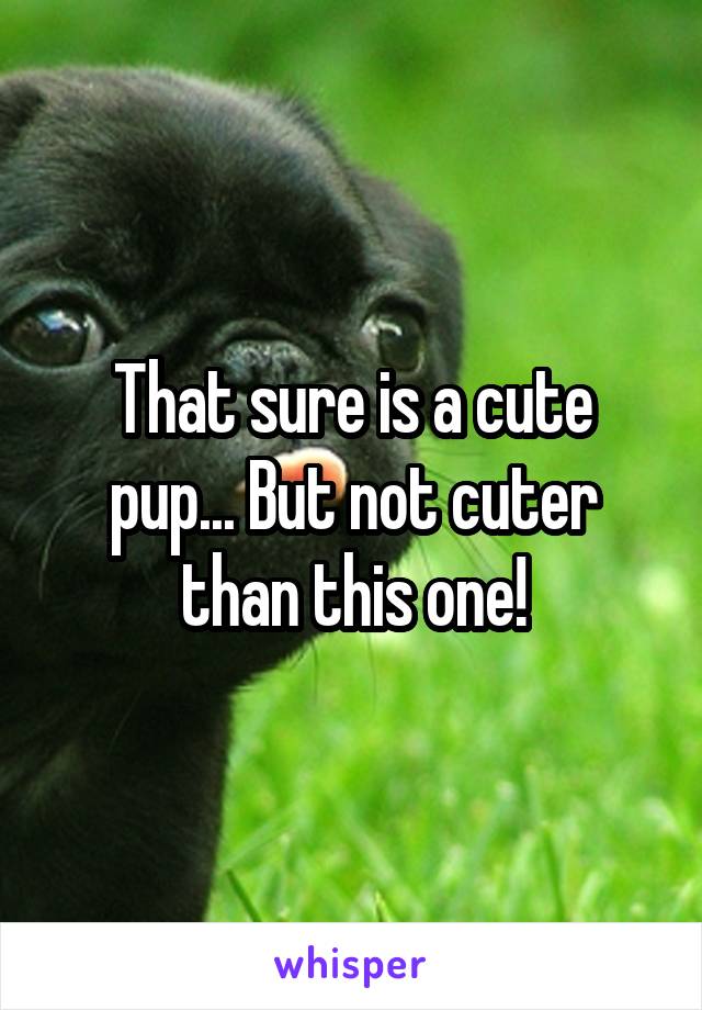 That sure is a cute pup... But not cuter than this one!