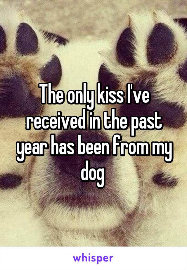 The only kiss I've received in the past year has been from my dog 