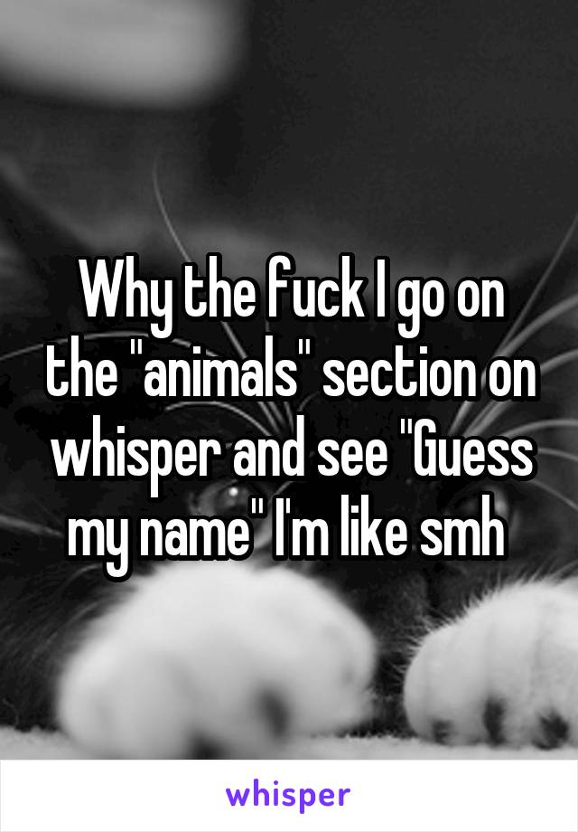 Why the fuck I go on the "animals" section on whisper and see "Guess my name" I'm like smh 