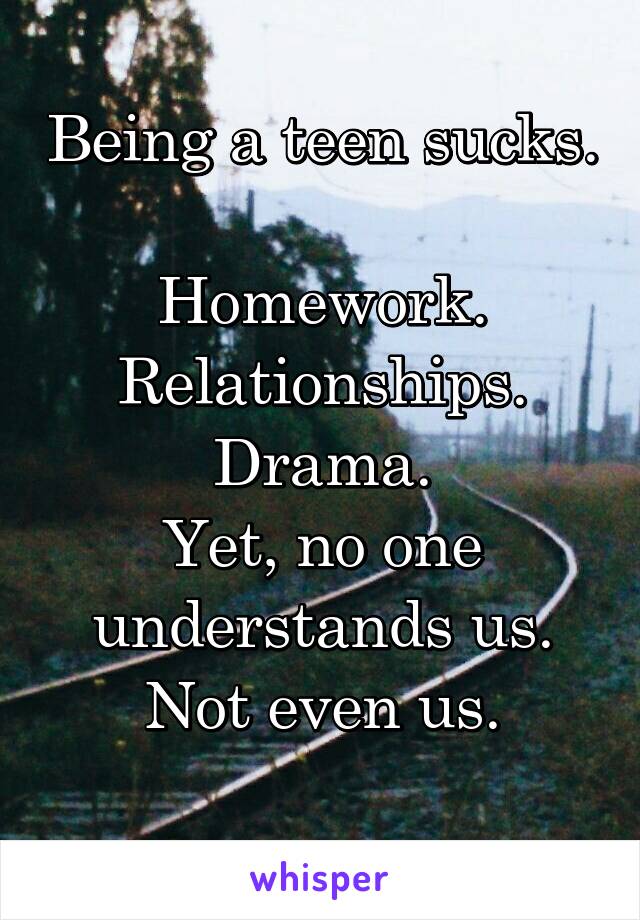 Being a teen sucks. 
Homework.
Relationships.
Drama.
Yet, no one understands us. Not even us.
