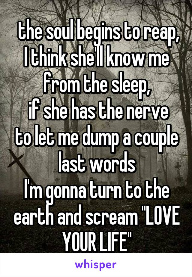  the soul begins to reap, I think she'll know me from the sleep,
 if she has the nerve to let me dump a couple last words
I'm gonna turn to the earth and scream "LOVE YOUR LIFE"