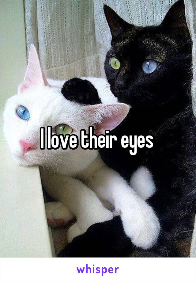 I love their eyes 