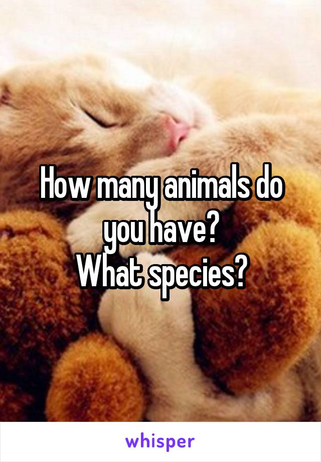 How many animals do you have?
What species?