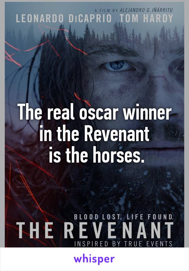 The real oscar winner in the Revenant
 is the horses.