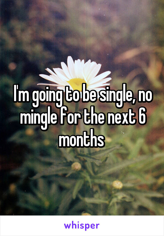 I'm going to be single, no mingle for the next 6 months 