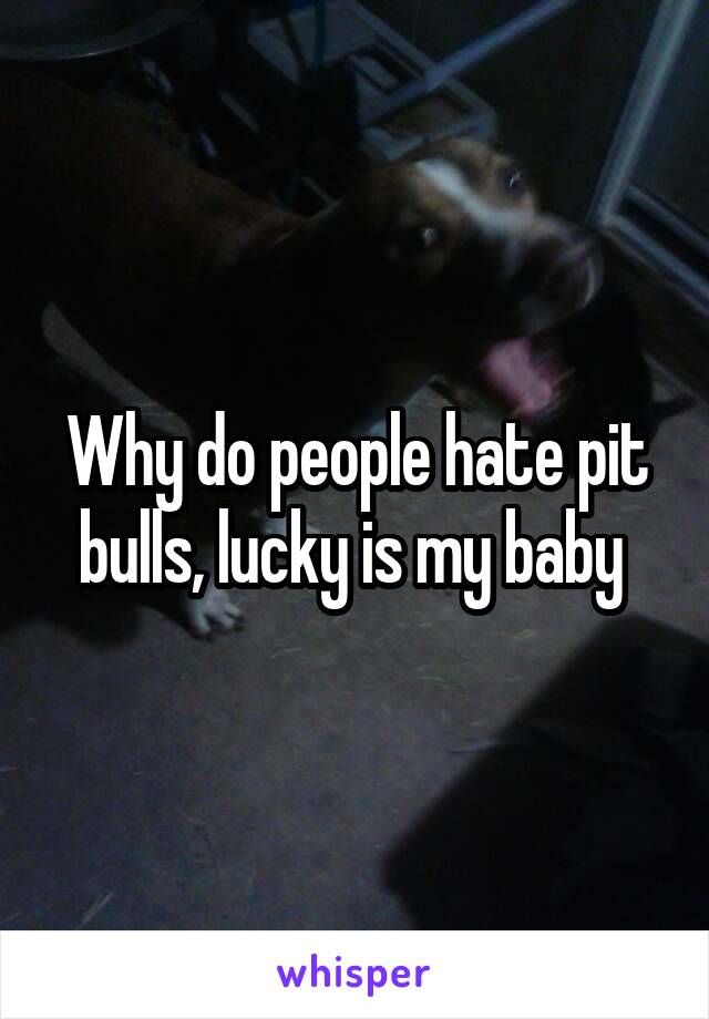 Why do people hate pit bulls, lucky is my baby 