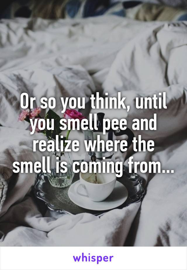 Or so you think, until you smell pee and realize where the smell is coming from...