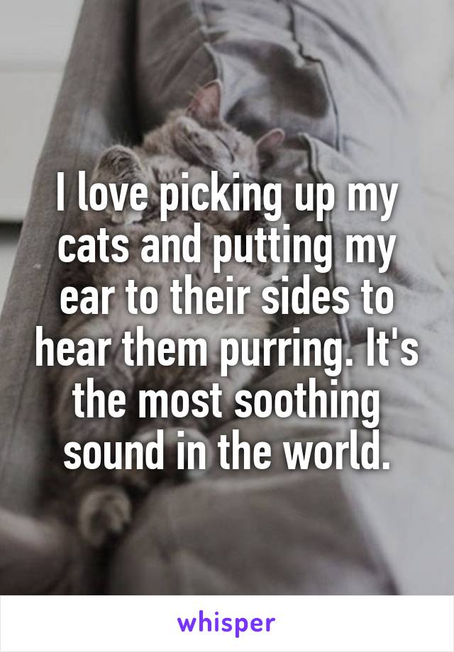 I love picking up my cats and putting my ear to their sides to hear them purring. It's the most soothing sound in the world.