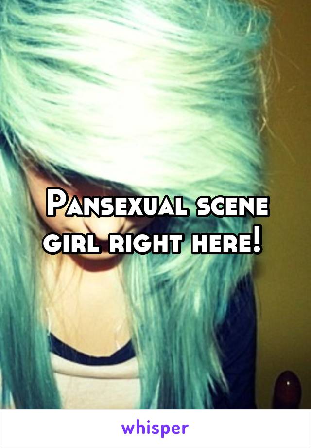 Pansexual scene girl right here! 