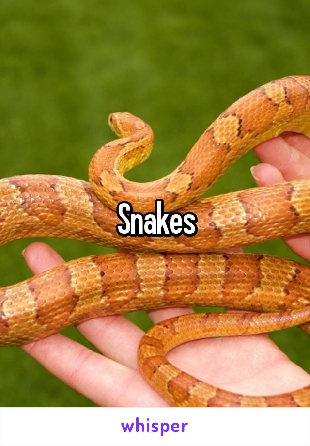 Snakes