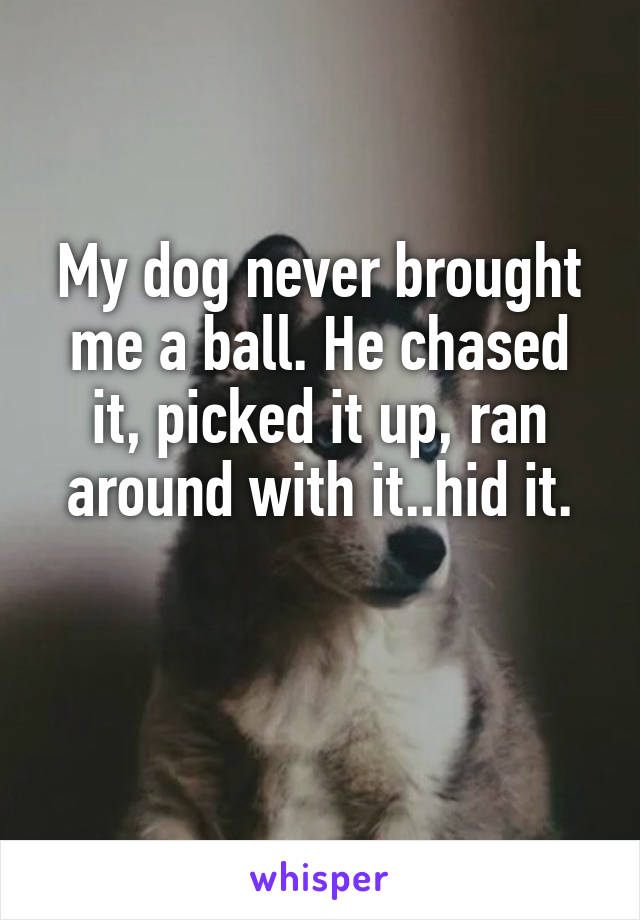 My dog never brought me a ball. He chased it, picked it up, ran around with it..hid it.

