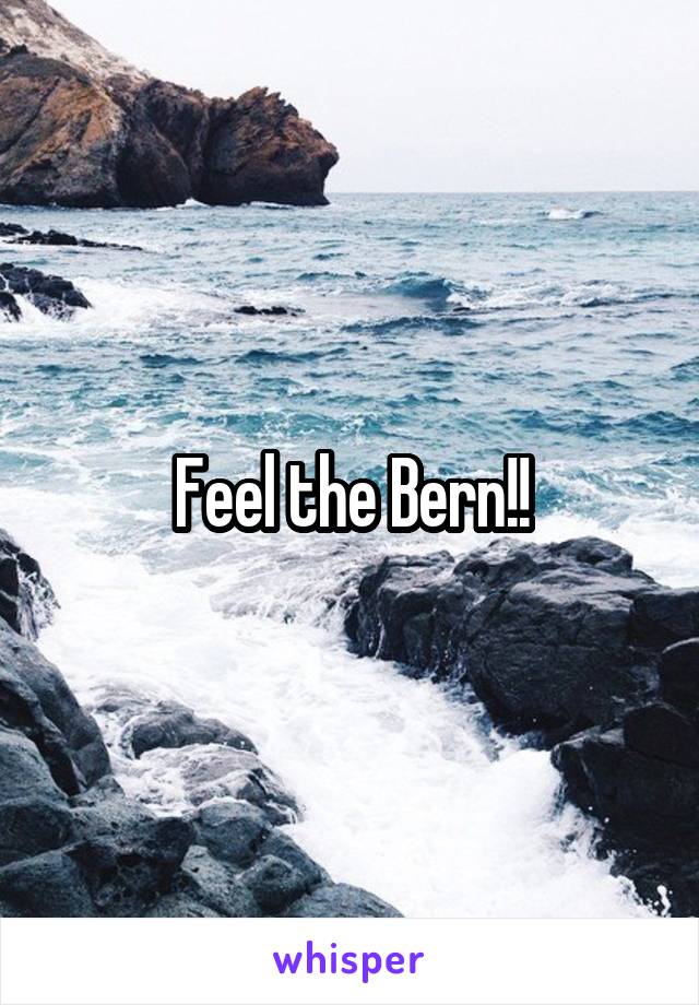 Feel the Bern!!