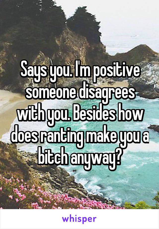 Says you. I'm positive someone disagrees with you. Besides how does ranting make you a bitch anyway?