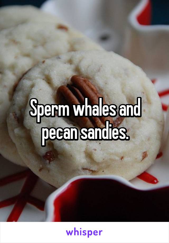 Sperm whales and pecan sandies.