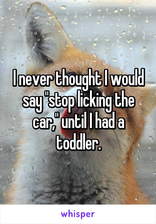 I never thought I would say "stop licking the car," until I had a toddler.