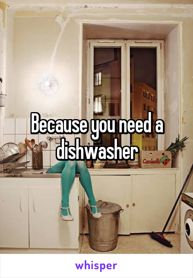 Because you need a dishwasher