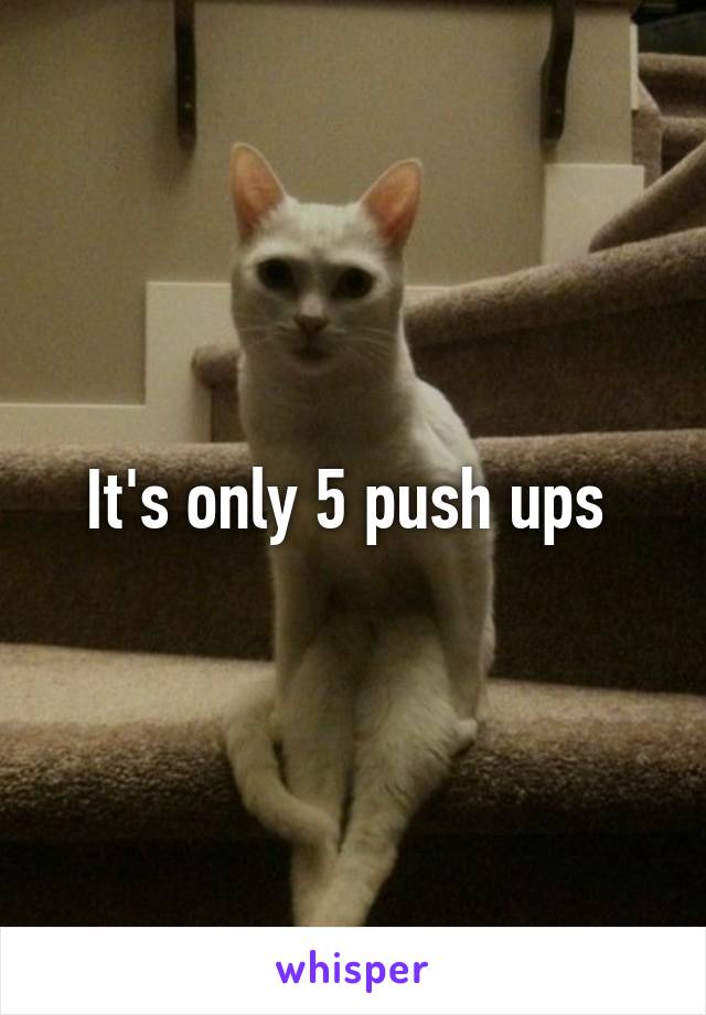 It's only 5 push ups 