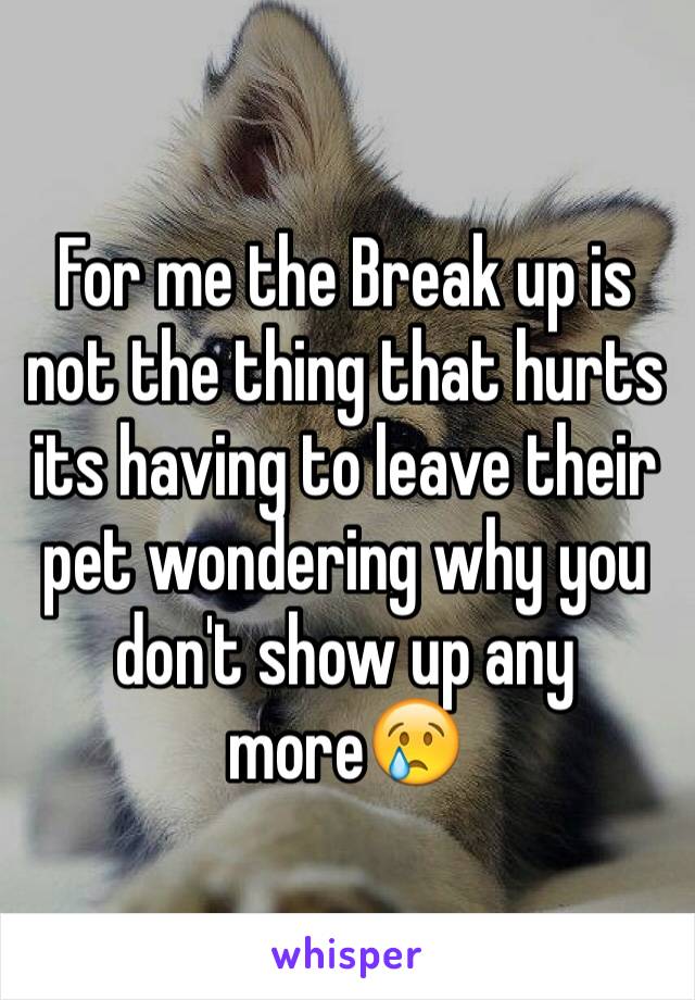 For me the Break up is not the thing that hurts its having to leave their pet wondering why you don't show up any more😢