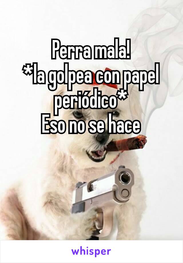 Perra mala!
*la golpea con papel periódico*
Eso no se hace