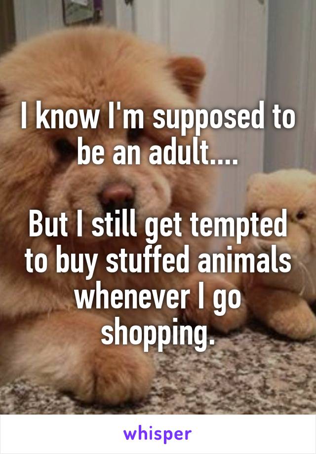 I know I'm supposed to be an adult....

But I still get tempted to buy stuffed animals whenever I go shopping.