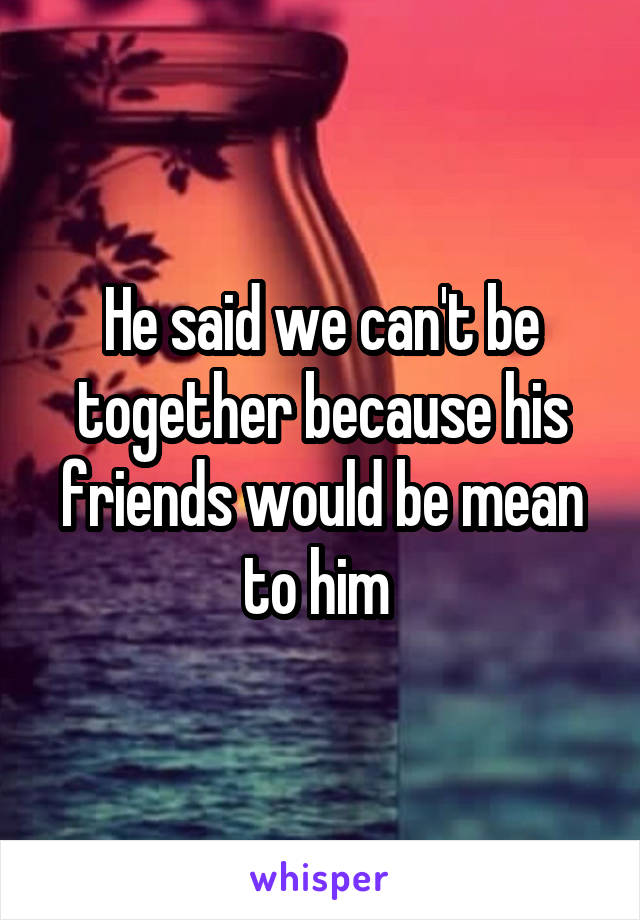 He said we can't be together because his friends would be mean to him 