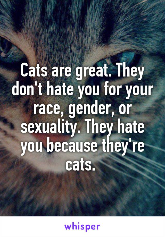 Cats are great. They don't hate you for your race, gender, or sexuality. They hate you because they're cats. 