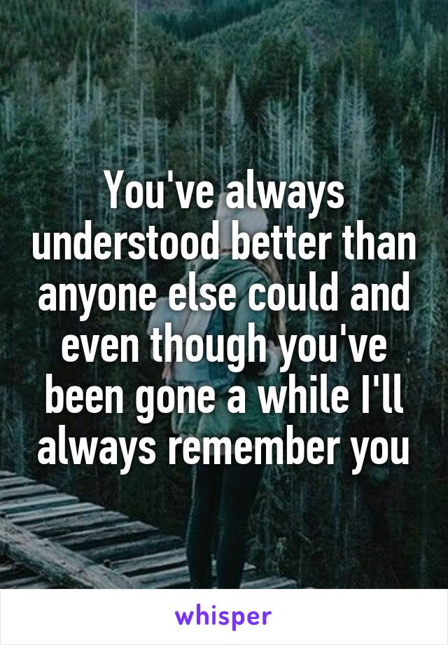 You've always understood better than anyone else could and even though you've been gone a while I'll always remember you