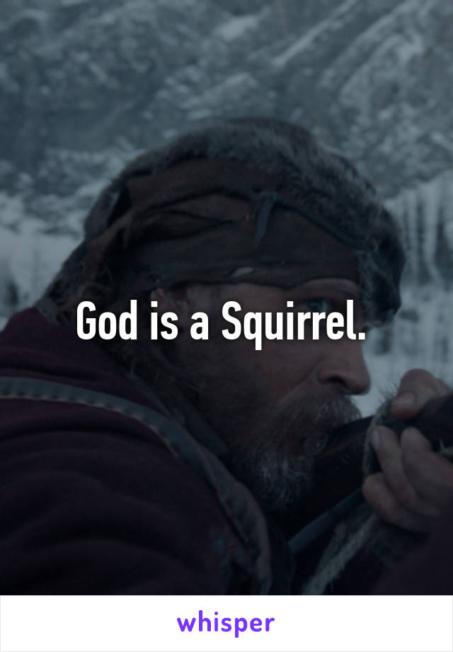 God is a Squirrel. 