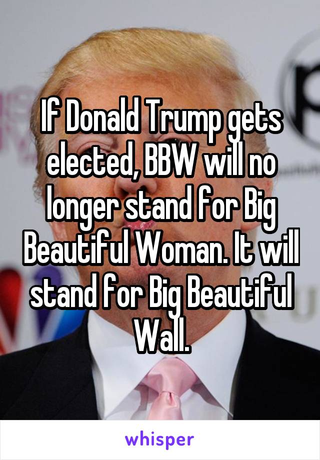 If Donald Trump gets elected, BBW will no longer stand for Big Beautiful Woman. It will stand for Big Beautiful Wall.