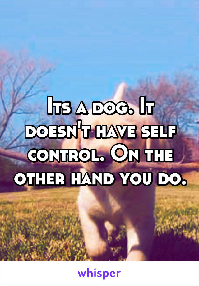 Its a dog. It doesn't have self control. On the other hand you do.