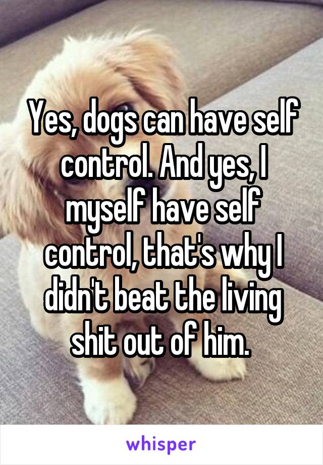 Yes, dogs can have self control. And yes, I myself have self control, that's why I didn't beat the living shit out of him. 