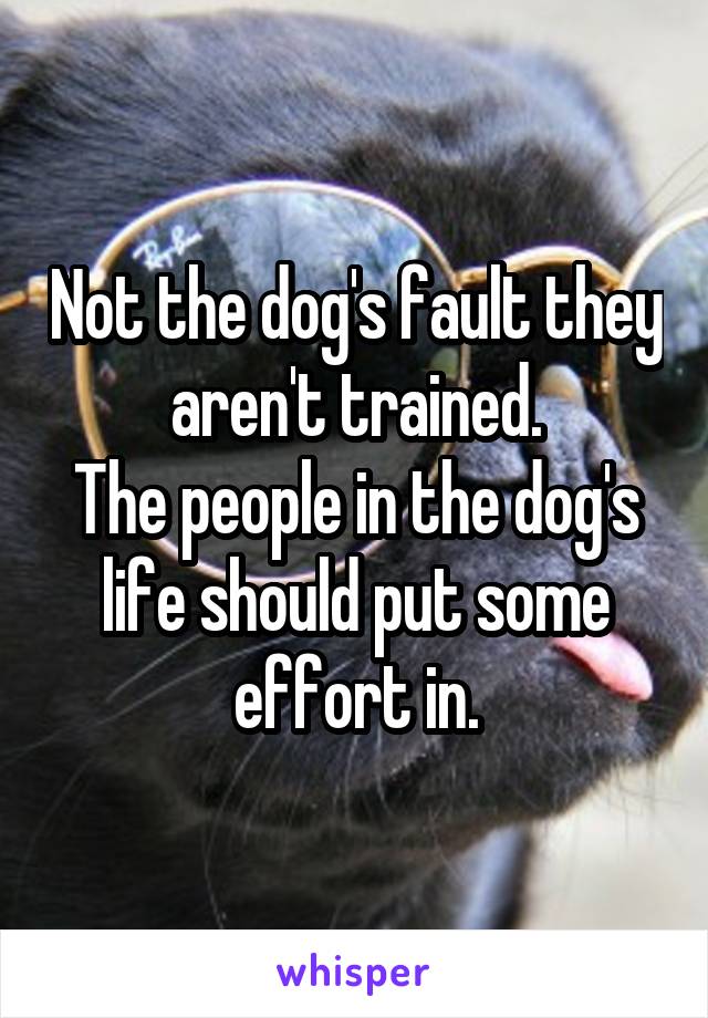Not the dog's fault they aren't trained.
The people in the dog's life should put some effort in.