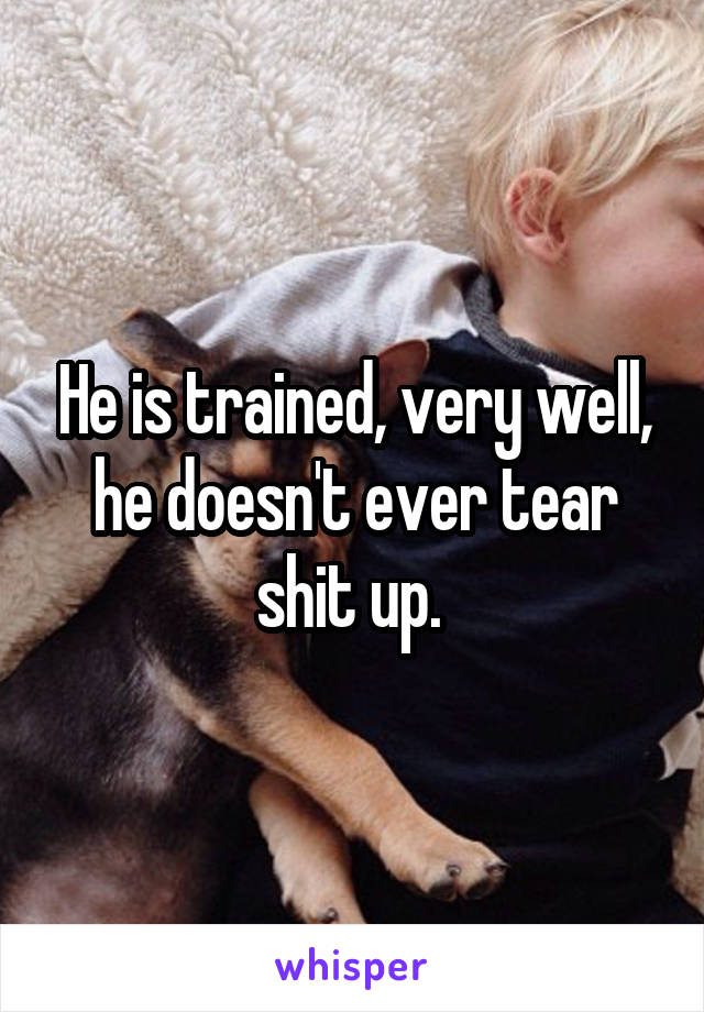 He is trained, very well, he doesn't ever tear shit up. 